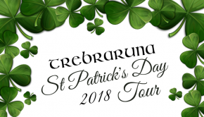 plakat st patricks day